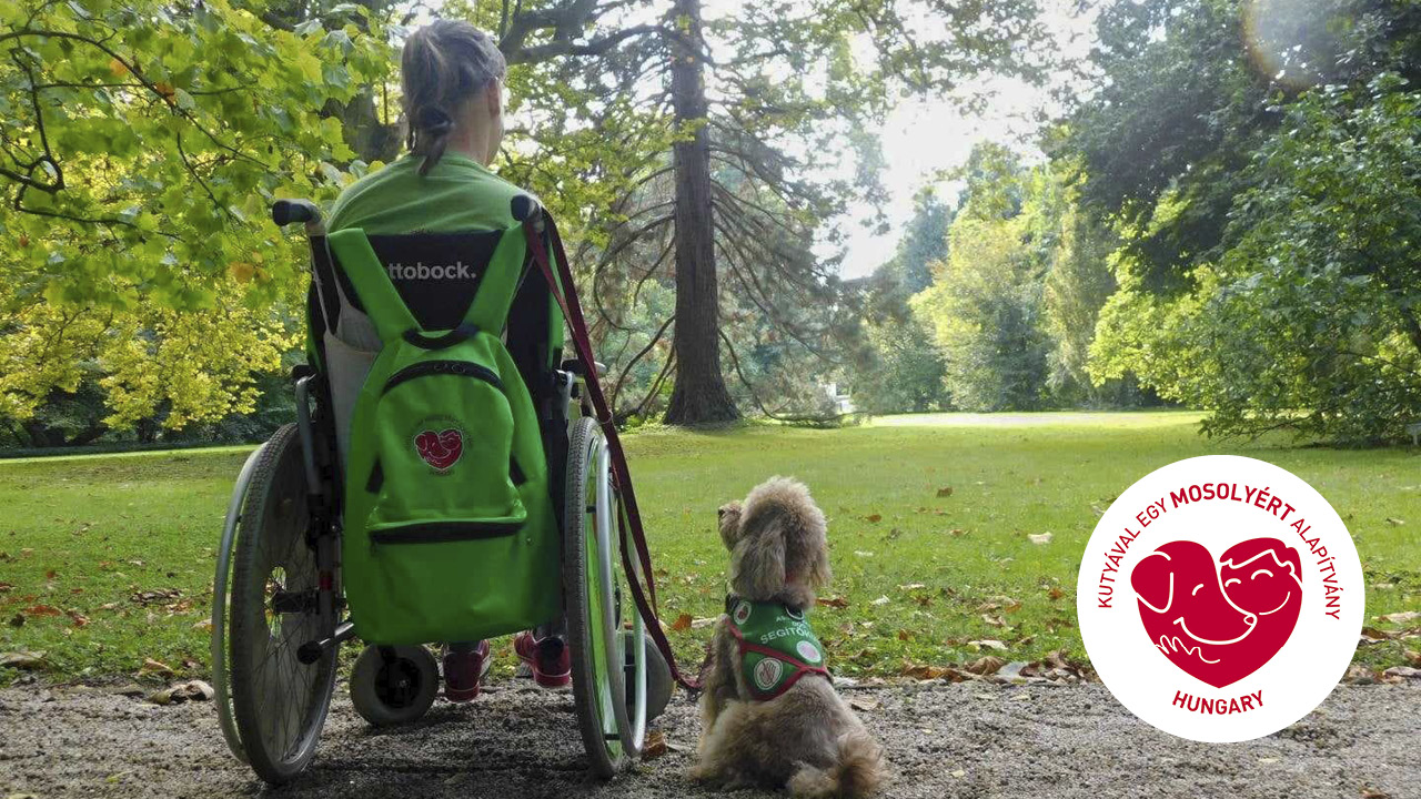 A kutyusok jót tesznek nekünk. Tegyünk jót mi is értük!