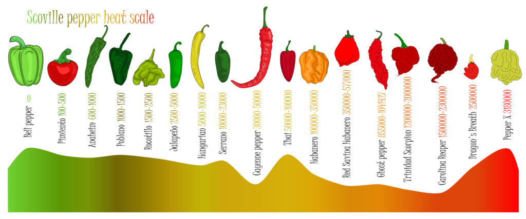Paprikák és fokozatok a Scoville-skálán 