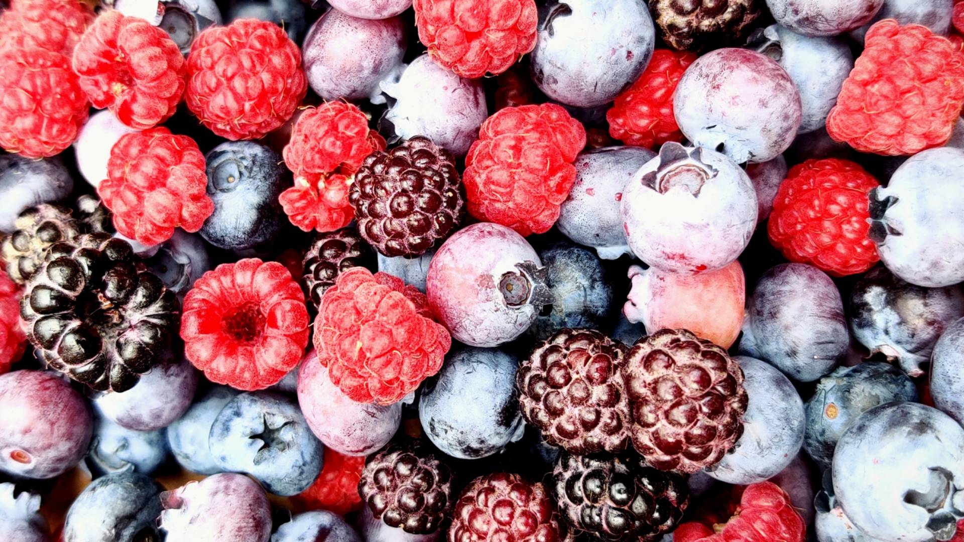 Fagyasztott bogyós gyümölcsök.