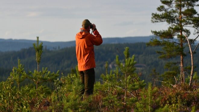 Eddig soha nem látott, ritka emlősállatot figyeltek meg - videó