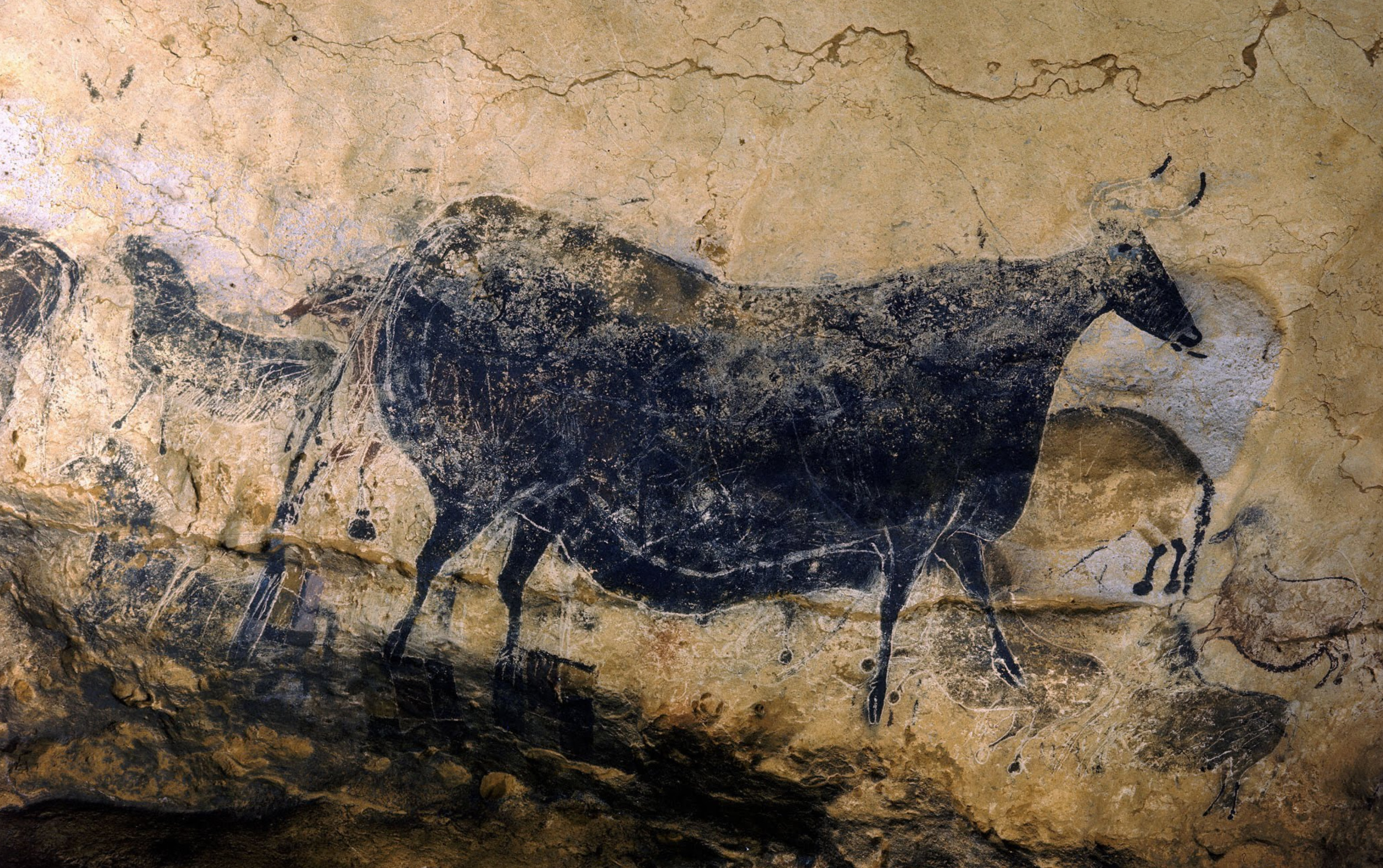 Forrás: Google Arts &amp; Culture