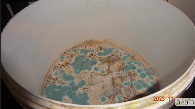 Penészes ételmaradékok - Fotó: Nébih