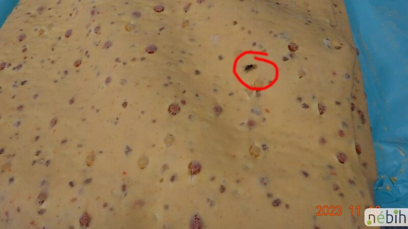 Légy a tésztában - Fotó: Nébih