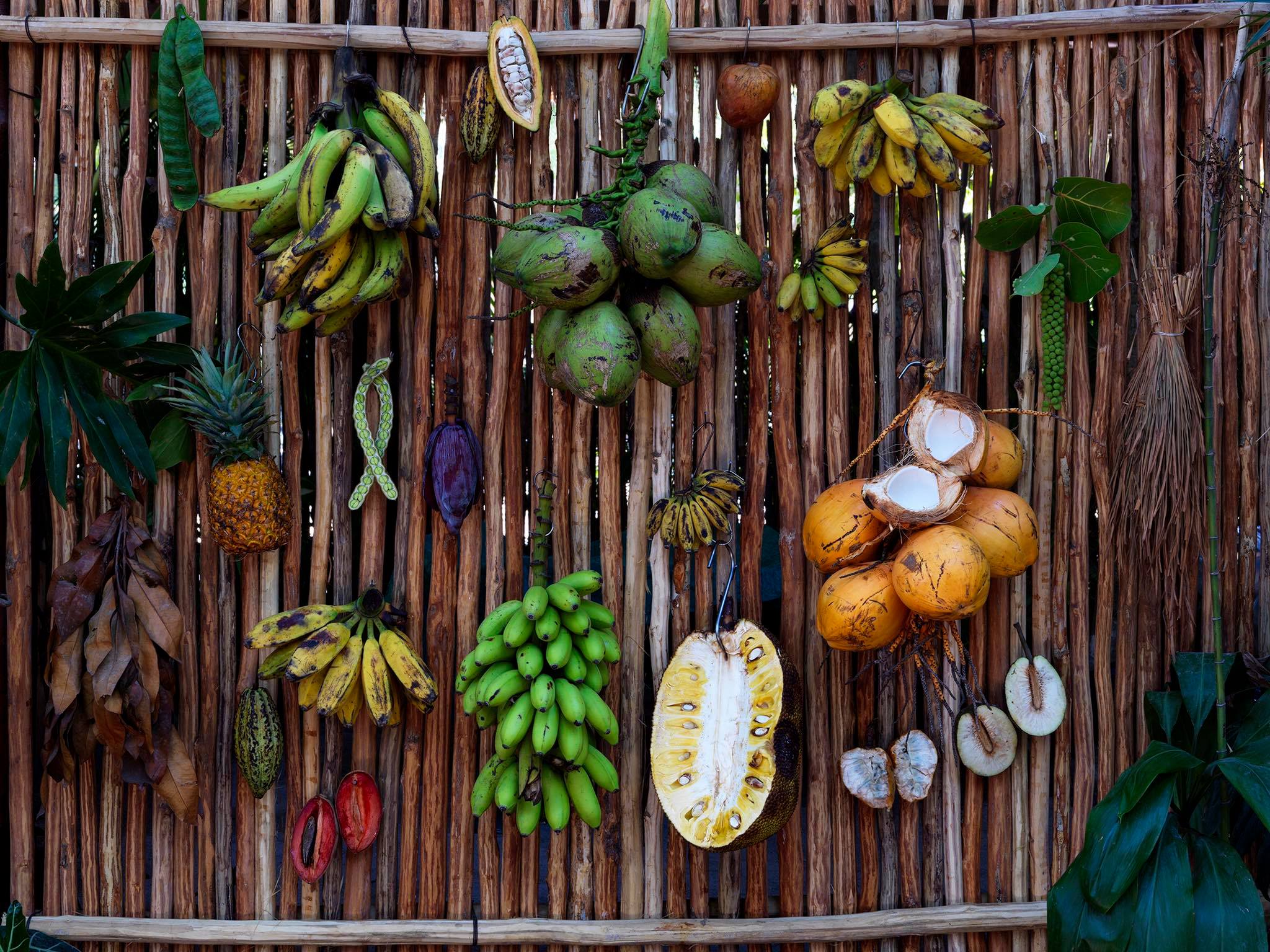 Noma Mexico: helyi alapanyagok