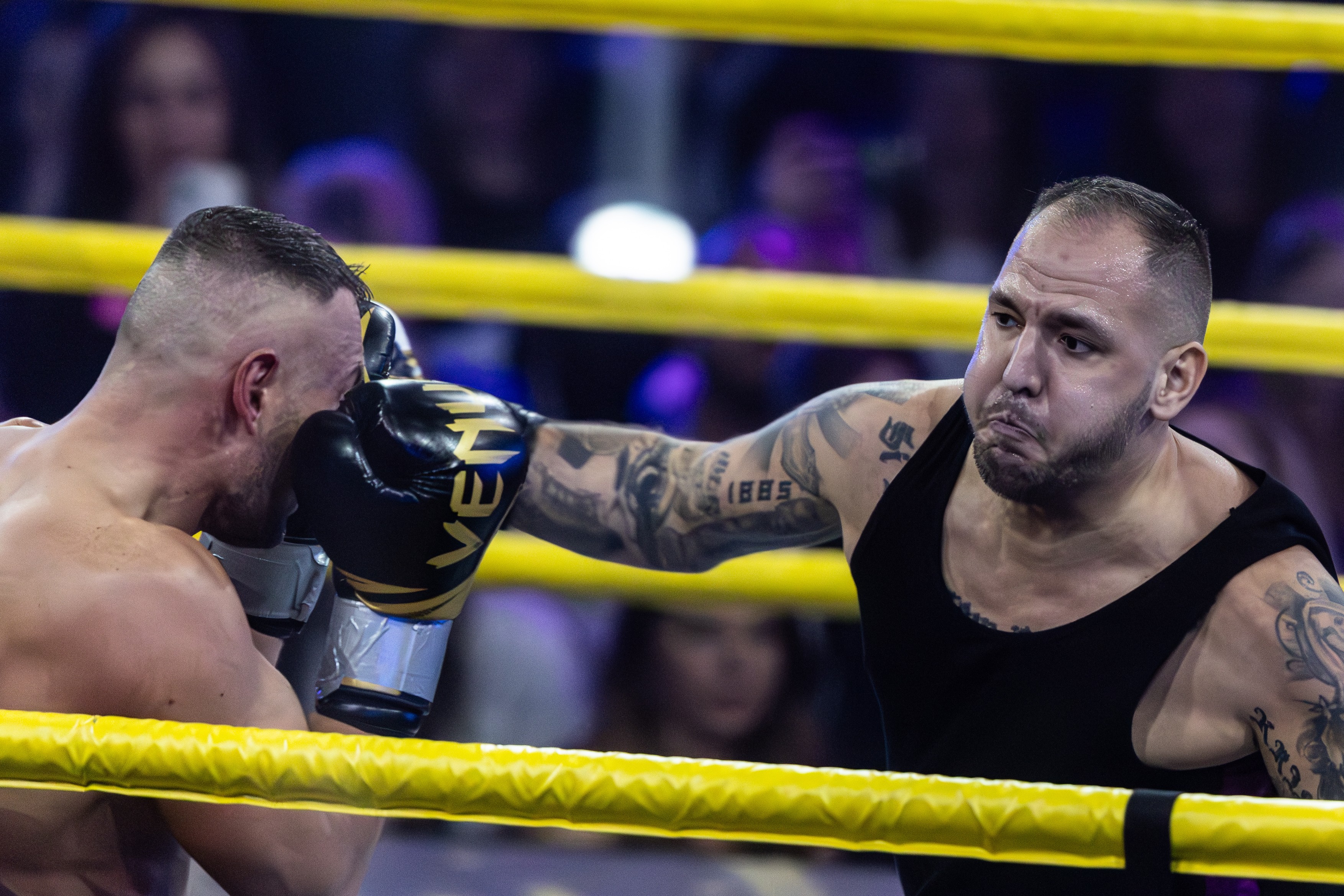 Széki Attila, Curtis, Szegedi Fecsó, (2)