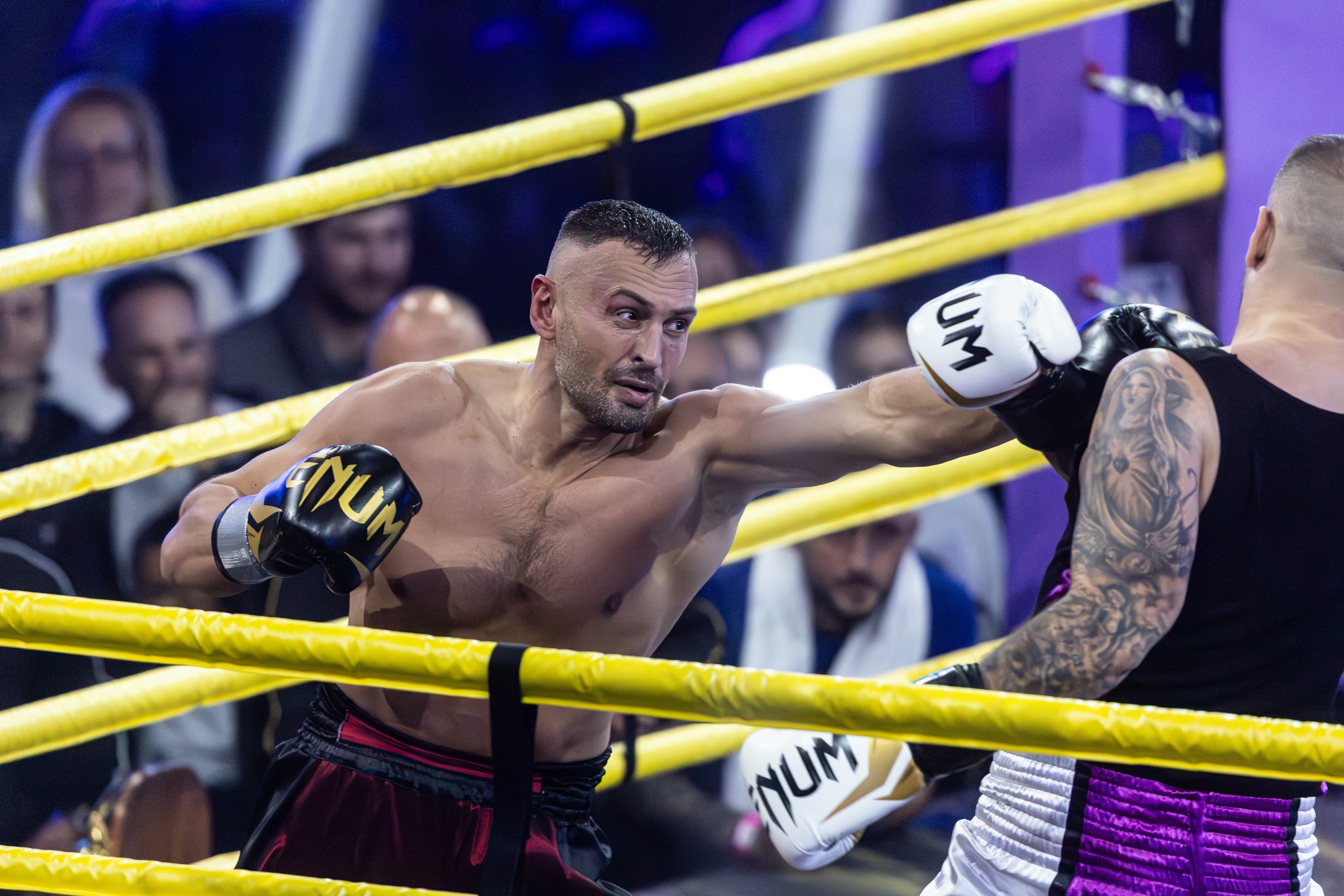 Széki Attila, Curtis, Szegedi Fecsó, (2)