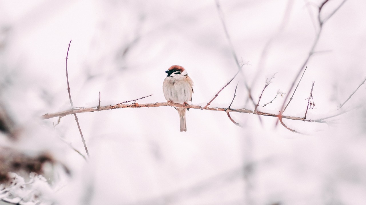 Napi horoszkóp 2023. 12. 03.: Nyugalom és a béke napja