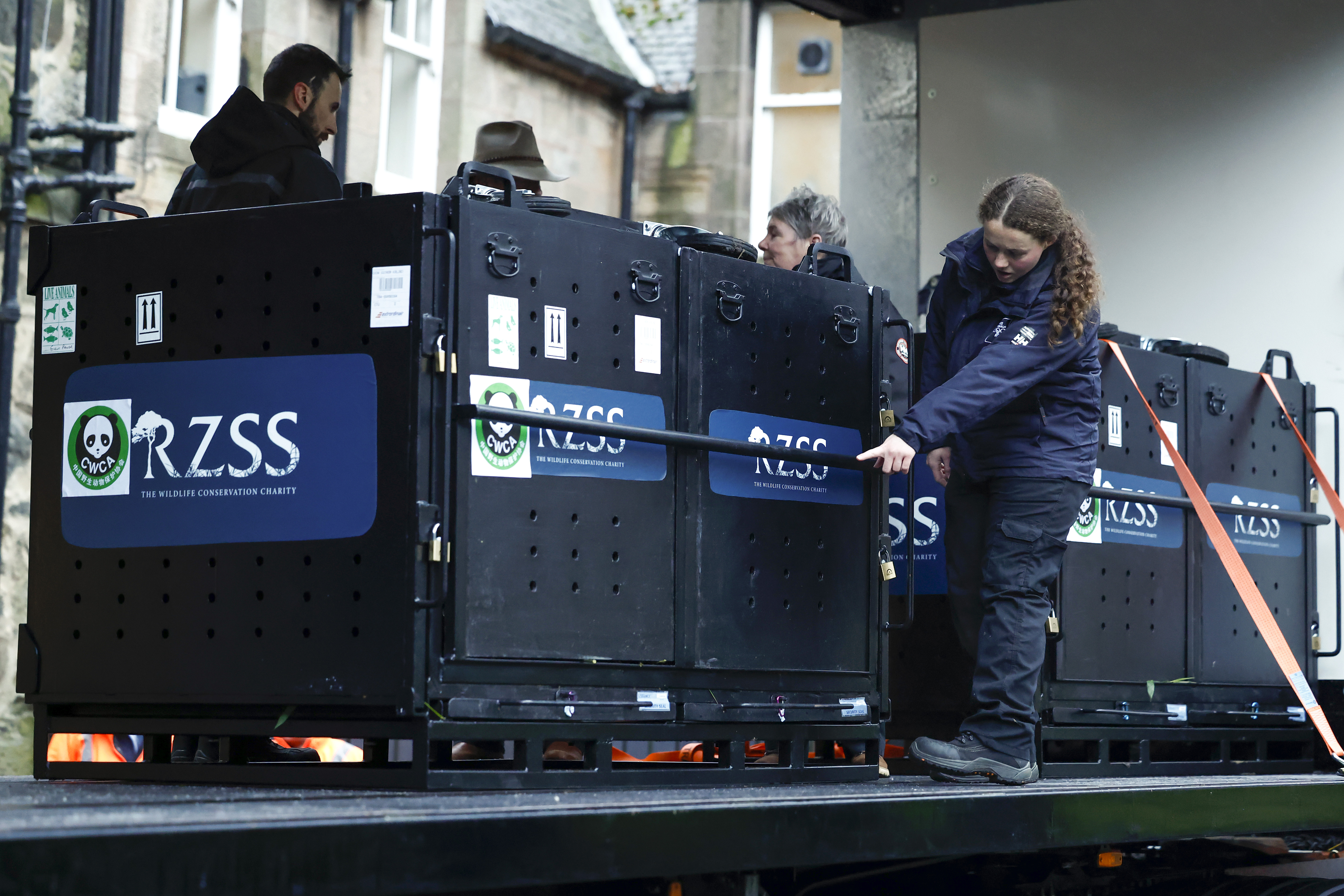 A gondozók előkészítik a ládákat az induláshoz