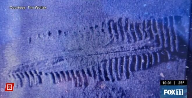 Elképesztő felfedezést tett egy 4 éves kislány és az apukája