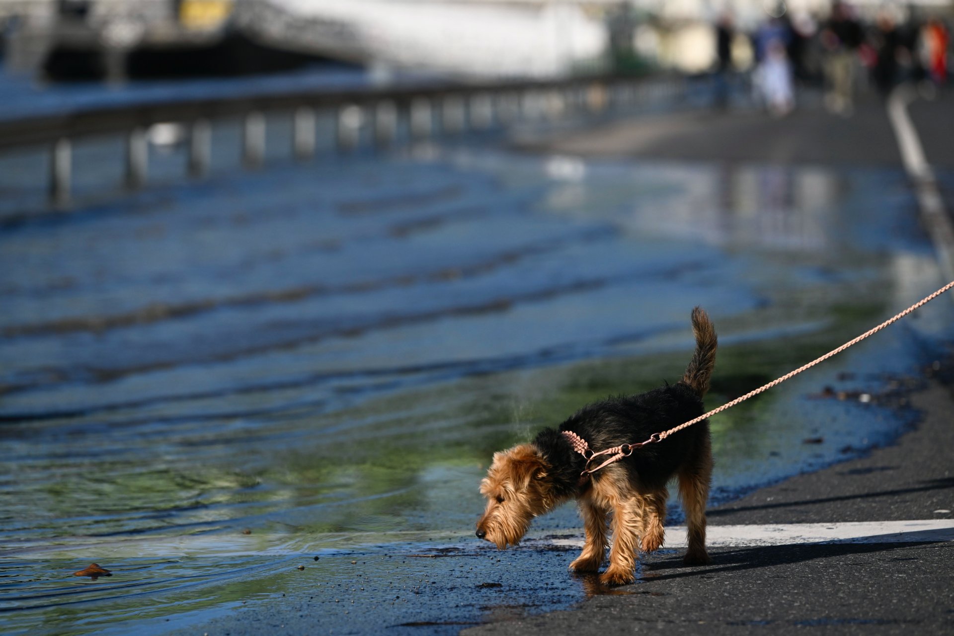 Az áradó Duna által elárasztott rakpart Budapesten 2023. december 27-én