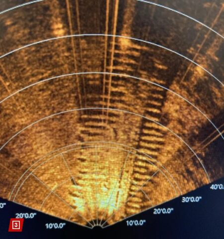 Elképesztő felfedezést tett egy 4 éves kislány és az apukája