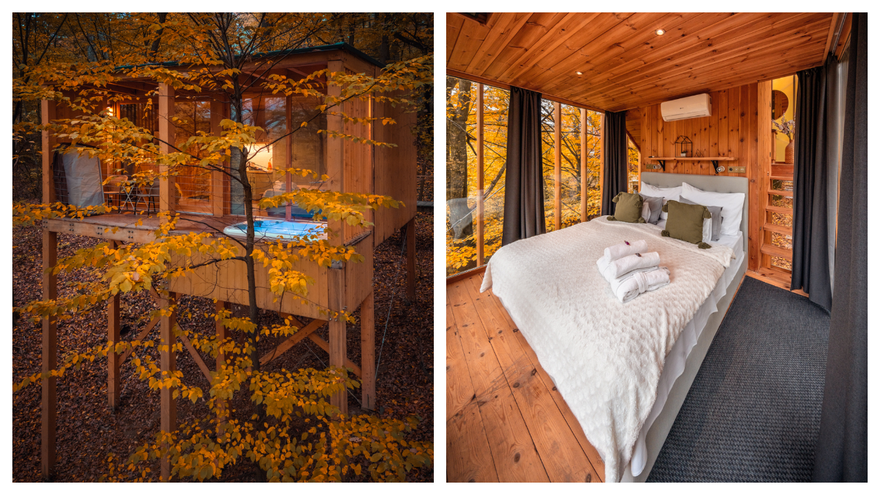 Treehouses Noszvaj