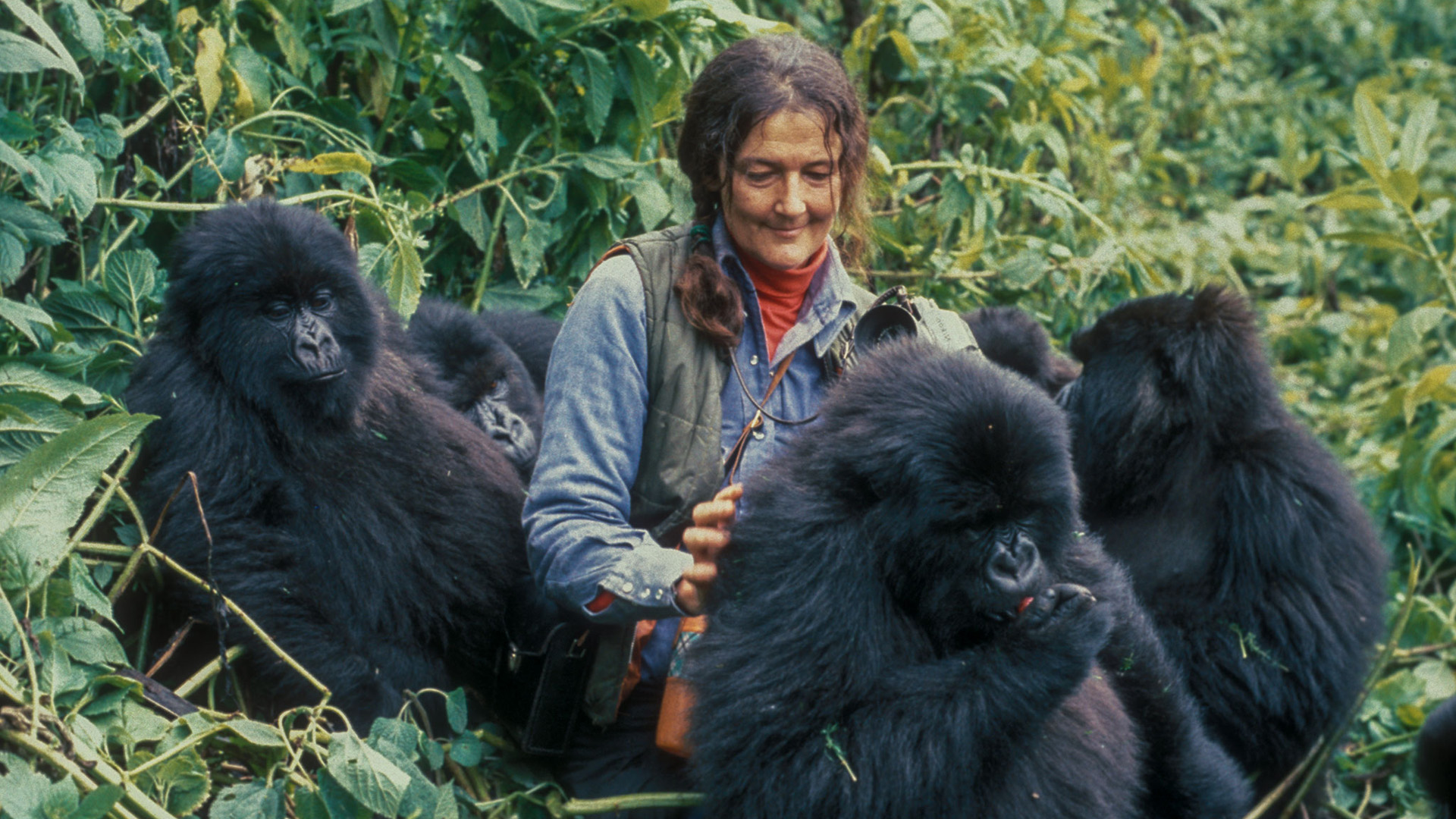 Dian Fossey