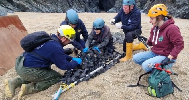Hat évig kergettek egy fókát, mire végül sikerült elcsípni