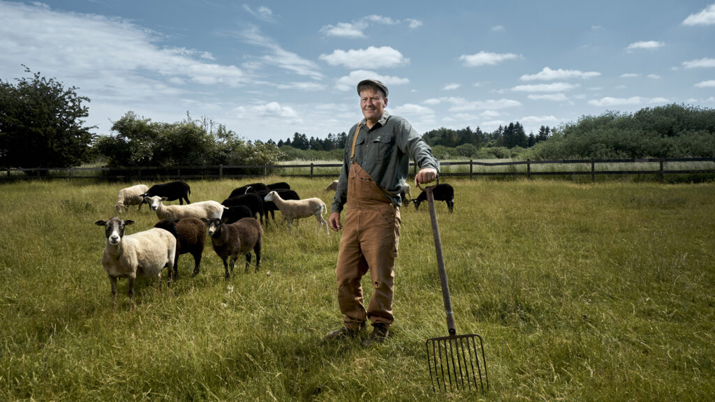 Valami bűzlik Dániában
