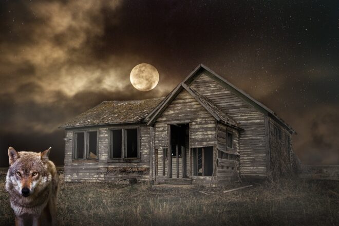 Csodás képességet fejlesztettek ki a csernobili övezet mutáns farkasai