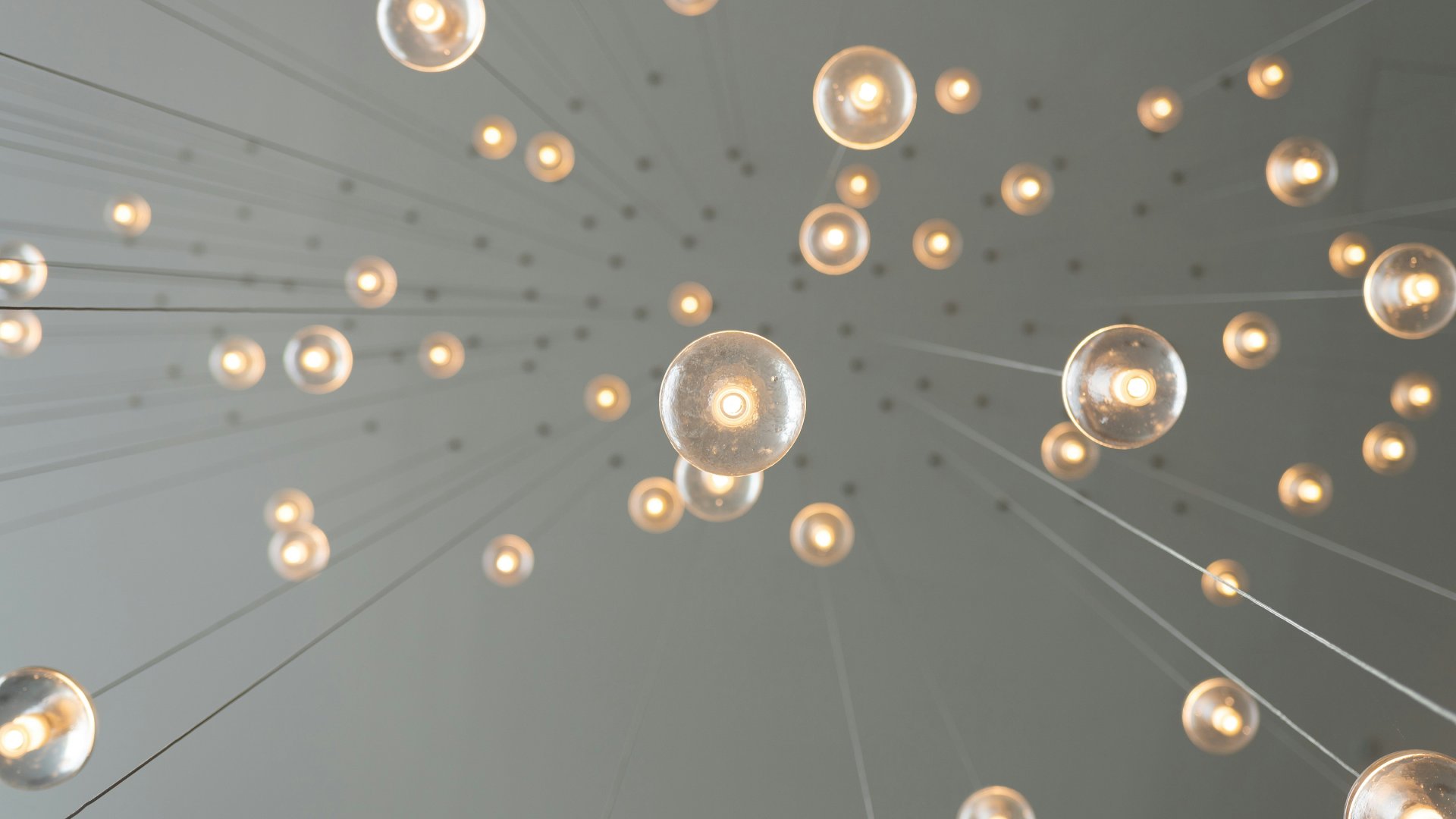 Villanykörték alulnézetből.