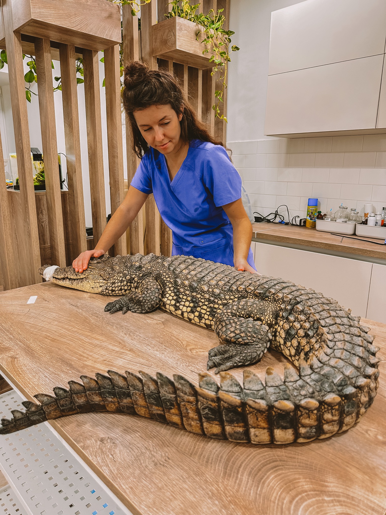 Leonid és Valentina Stoyanov, az ukrán állatorvos házaspár