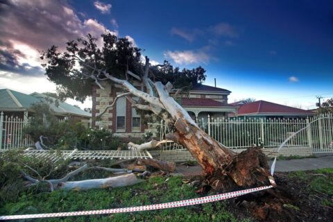 Egyre gyakoribbak a viharkárok. Fotó: Profimedia