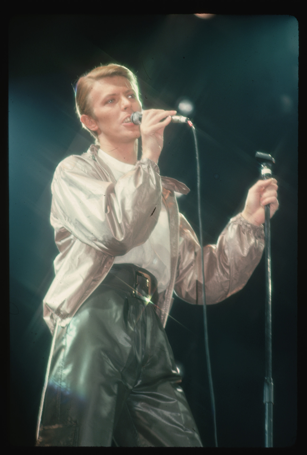David Bowie