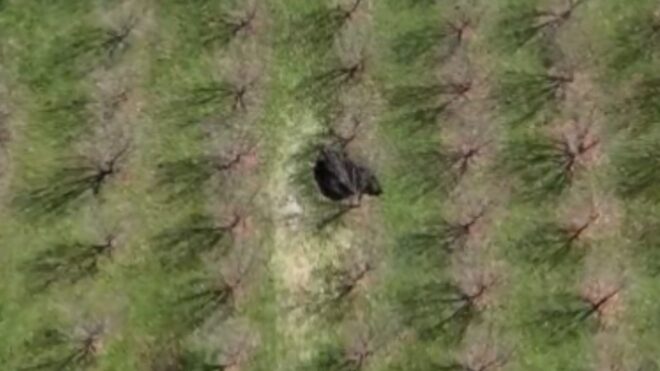 Titokzatos gödör riogatja a helyieket egy bosnyák faluban