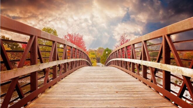 Új hidat adtak át Magyarországon, két ország lakóinak életét is megkönnyíti