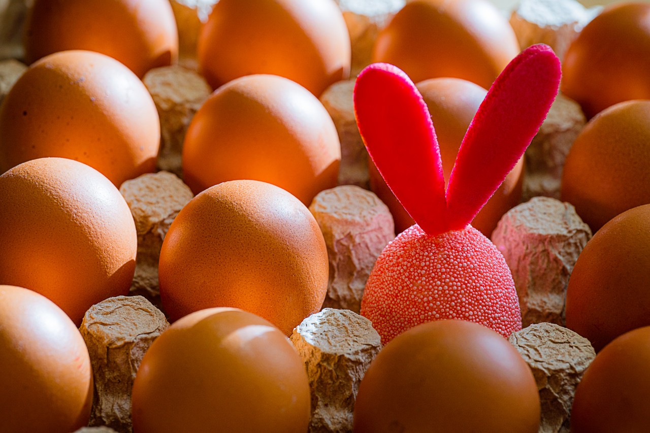 Egy elhallás miatt várjuk most a húsvéti nyulat – és nem a húsvéti gyöngytyúkot 