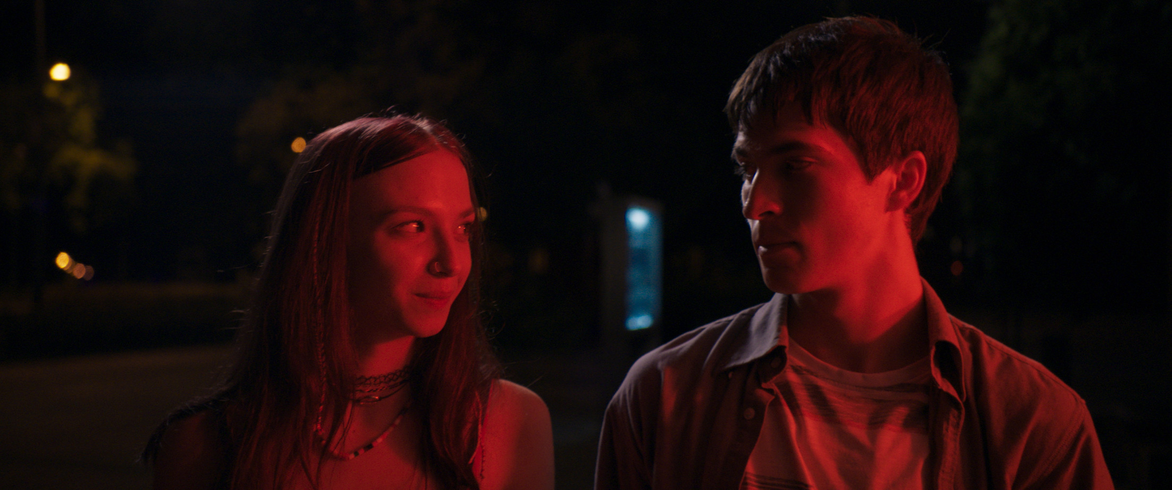 Zanox - Kockázatok és mellékhatások