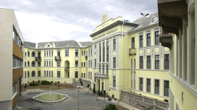 Életveszélyesen bántalmazhatta pár hetes babáját egy anya