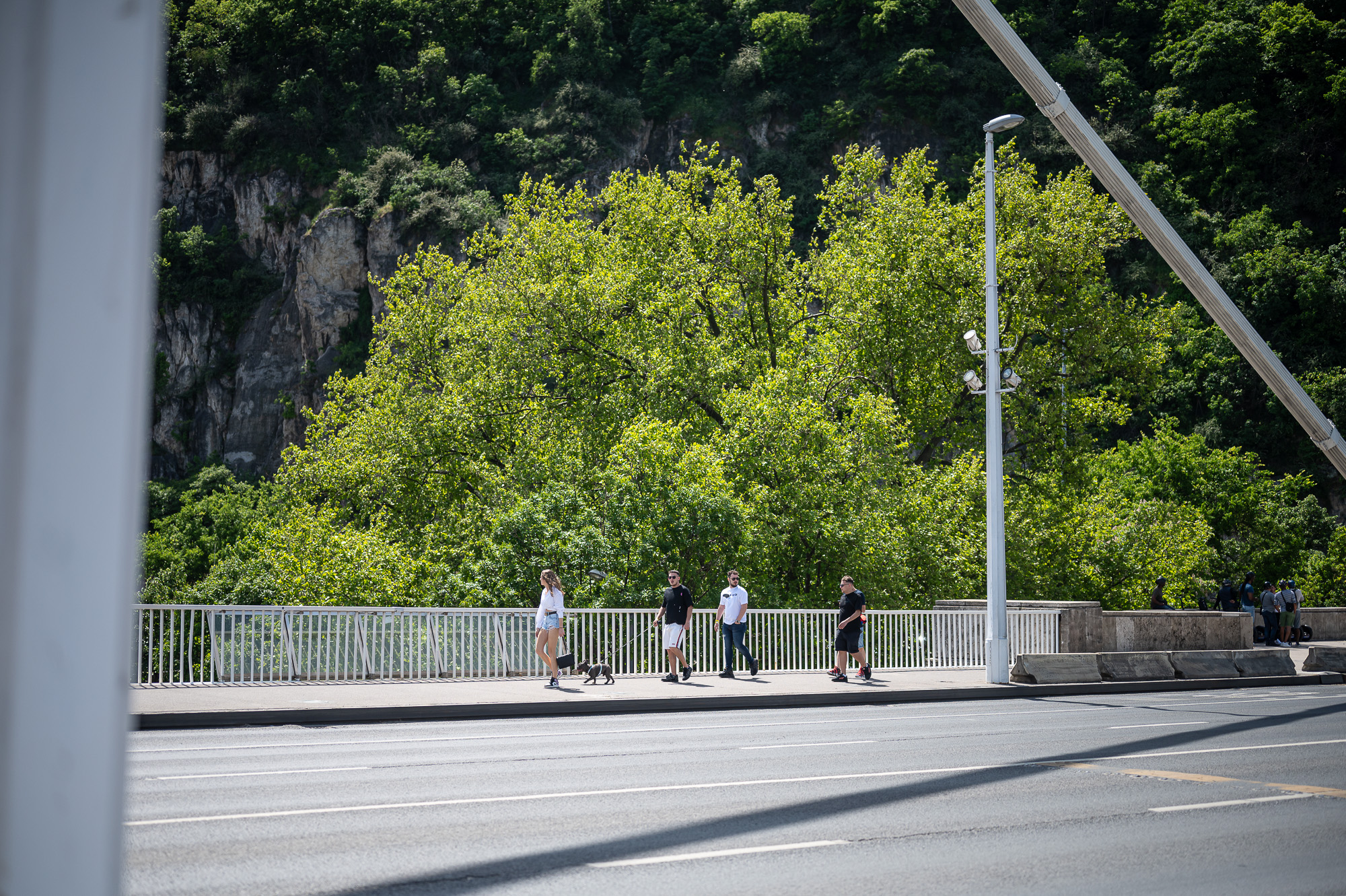 Fotó: Neményi Márton