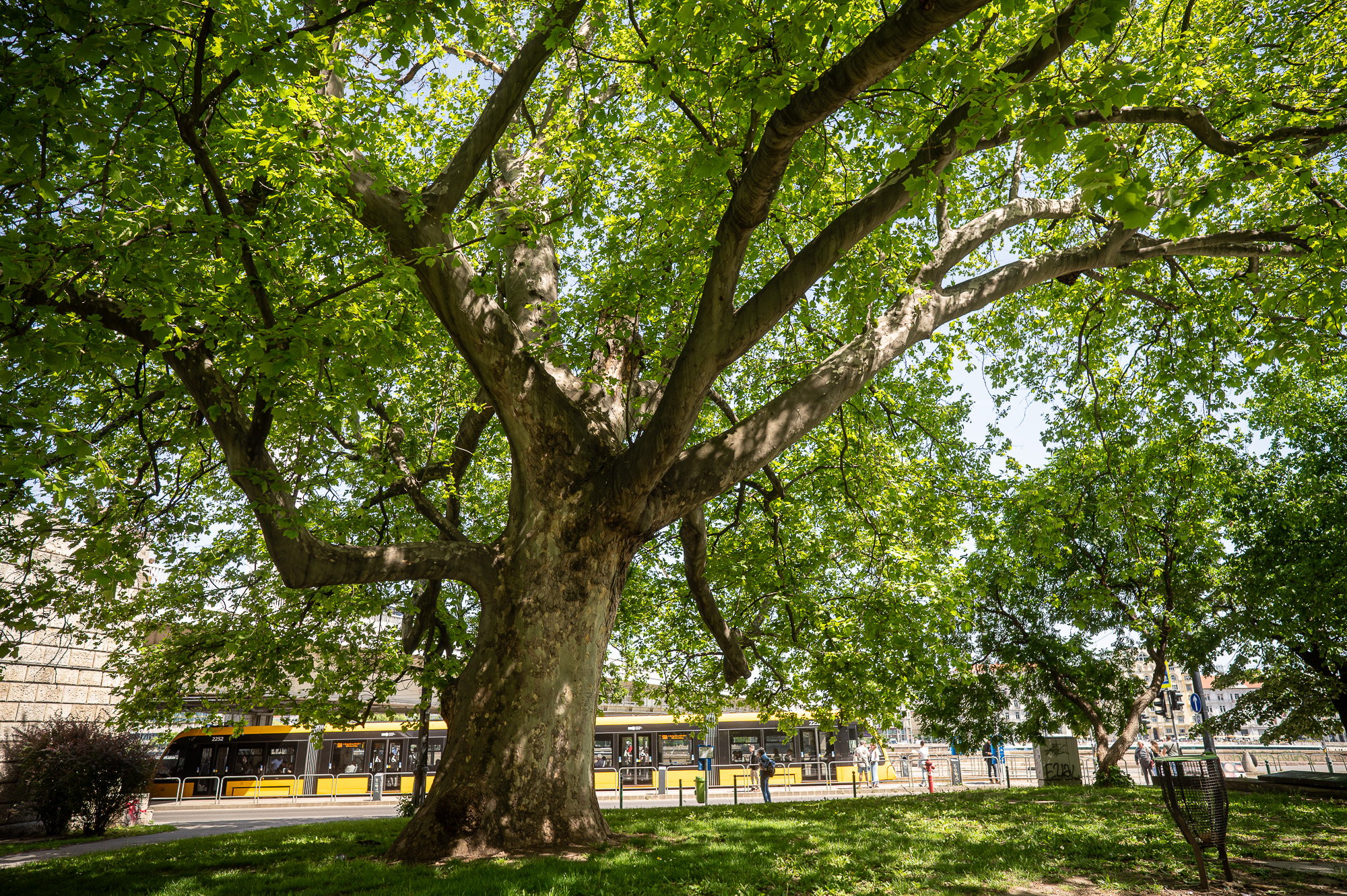 Fotó: Neményi Márton