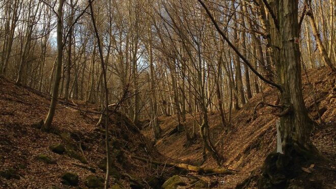 Brutális sziklaomlás miatt mindenkit kitiltottak az ország kedvenc kirándulóhelyéről