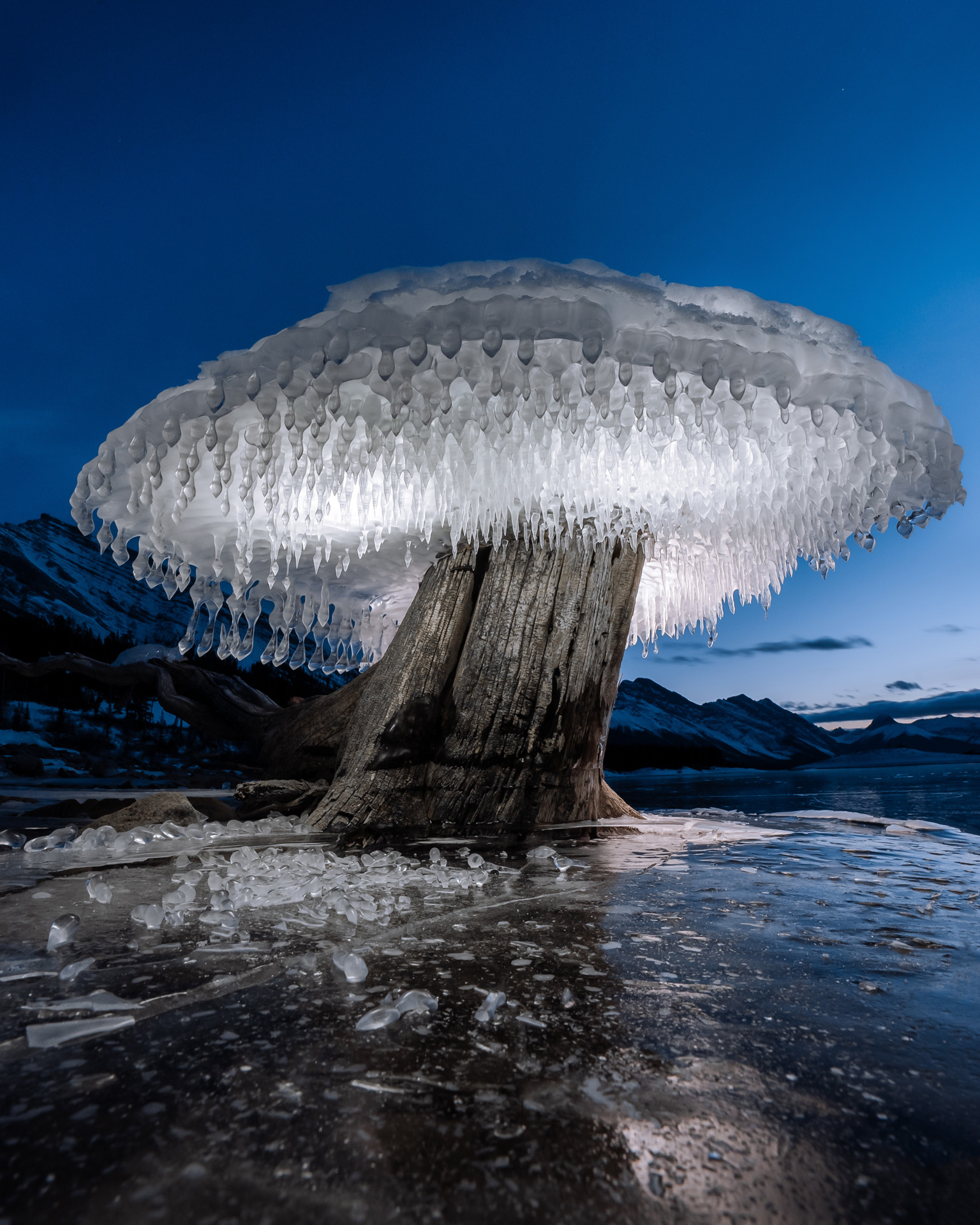 Peter O'Hara: A jéggomba