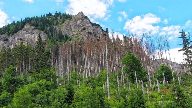 Riasztották a mentőket két magyar nő miatt a Szlovák Paradicsomba