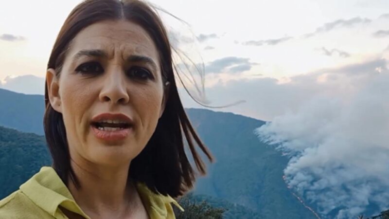 Ördög Nóra, háttérben az erdőtűzzel - Forrás: Instagram / @ordognora