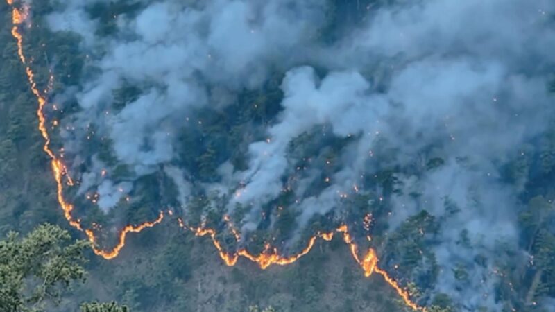 Félelmetes, ahogy terjed az erdőtűz - Forrás: Forrás: Instagram / @ordognora