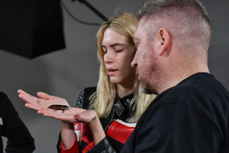 Barátkozás a csótánnyal a pózolás előtt - Fotó: TV2 / Next Top Model Hungary