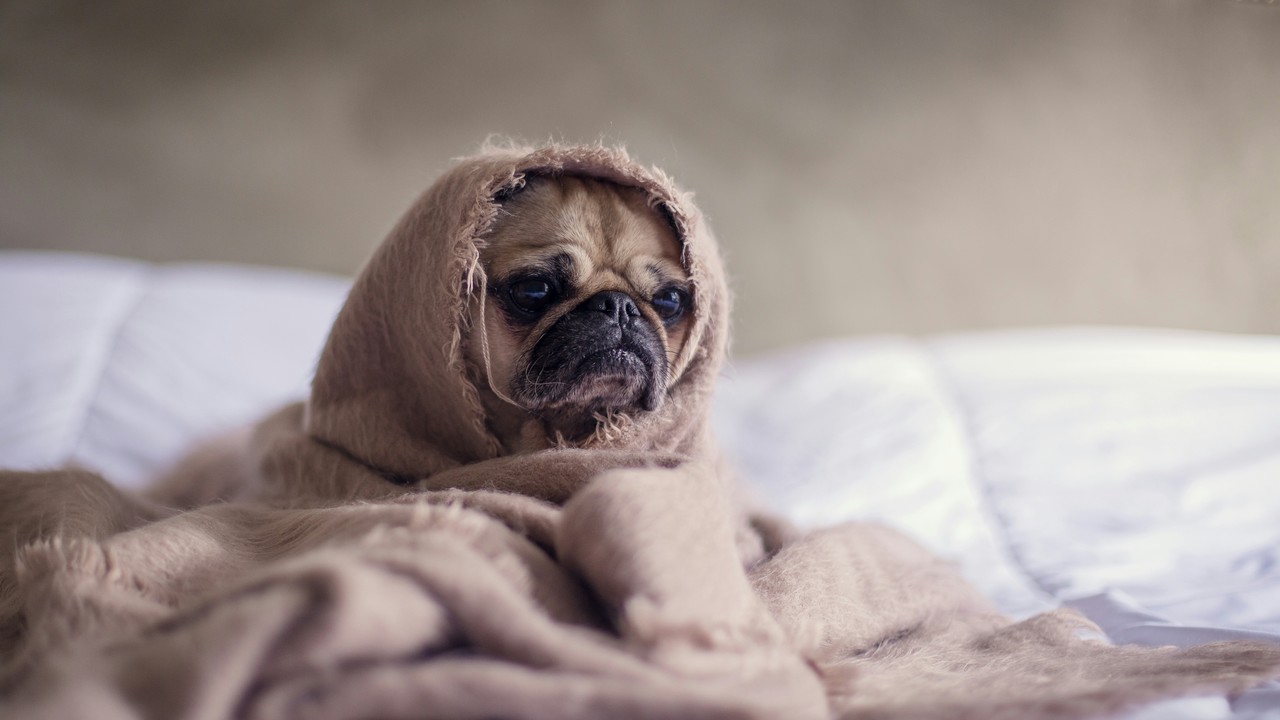 Napi horoszkóp 2024. 05. 25.: Stresszes szombat