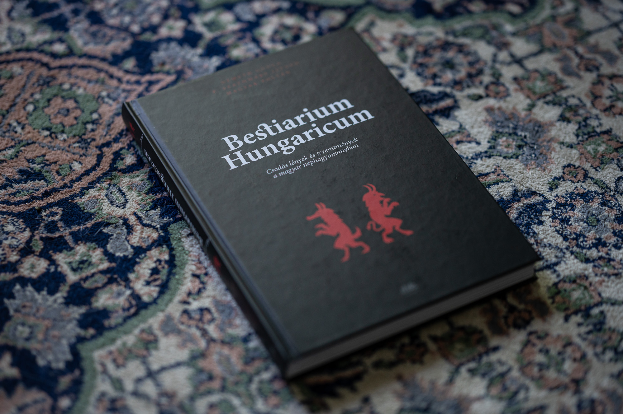 Fotó: Neményi Márton