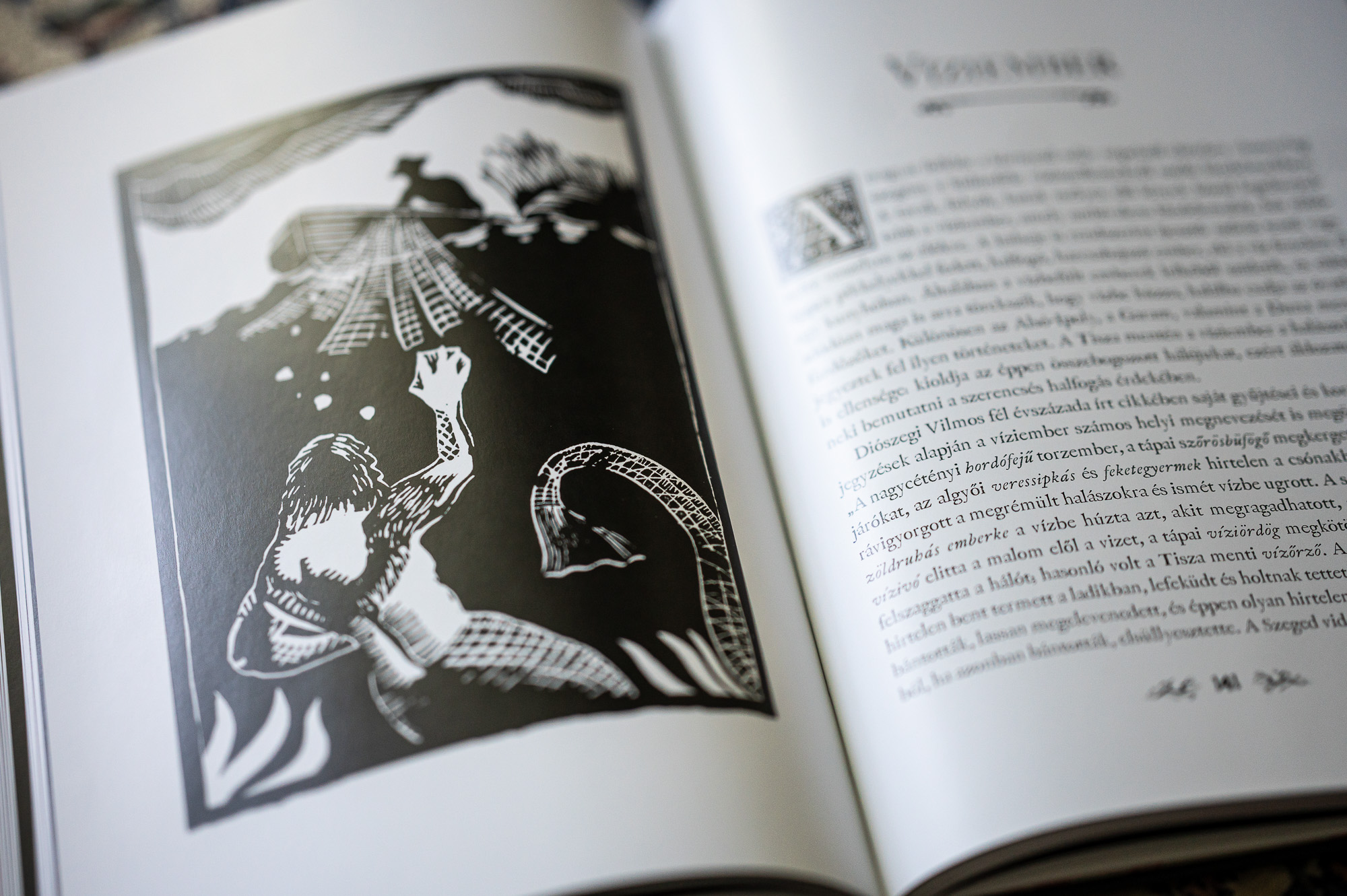 Fotó: Neményi Márton