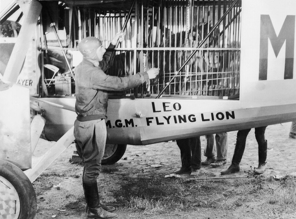 Marten Jensen és Jackie az oroszlán