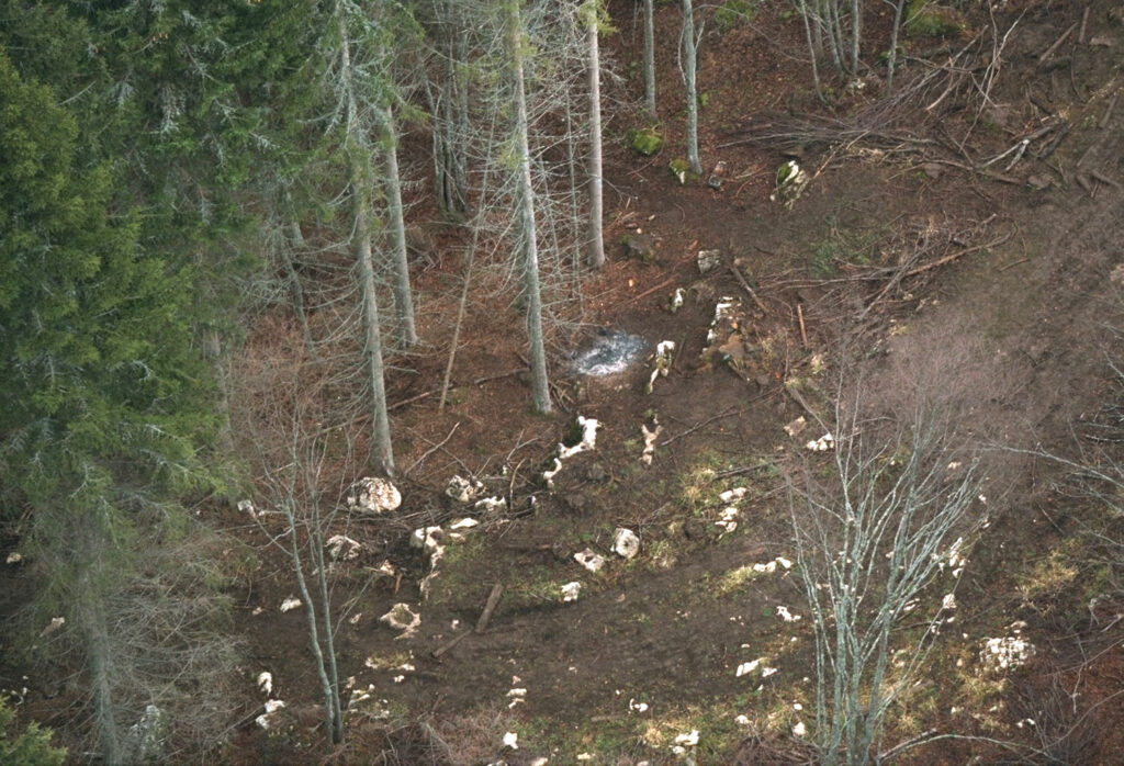 Tömeges öngyilkosság