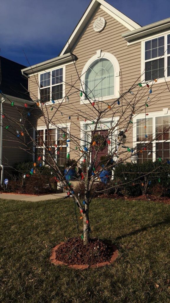 Vanda egy gyönyörű kertvárosi családi házban lelt otthonára Amerikában