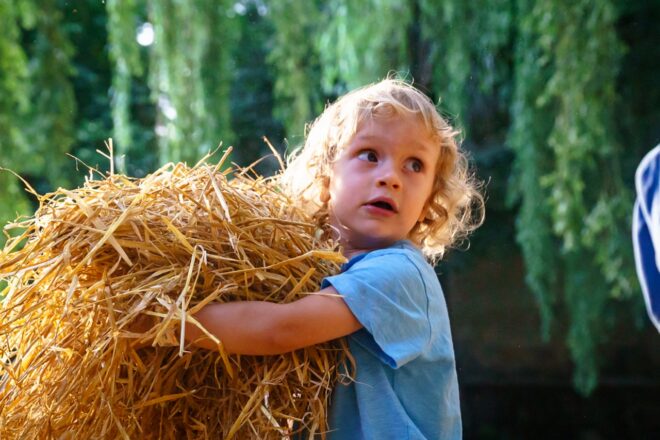 Buliznak a legkisebbek is – családi programok az egész családnak a Művészetek Völgyében