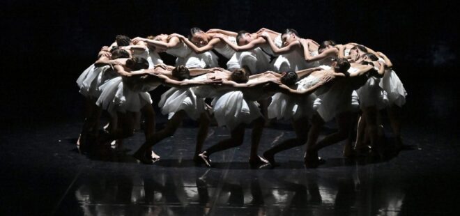 Absztrakt klasszikus – Hattyúk tava a Margitszigeten