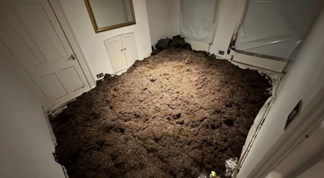 Kiadta a lakását, rettenetes dolgokat talált benne, miután hazaért