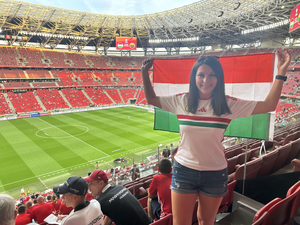 Magyarország - Litvánia, Eb-selejtező