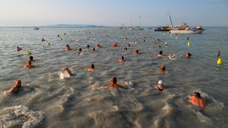 A 42. Lidl Balaton-átúszás résztvevői - Fotó: MTI/Vasvári Tamás