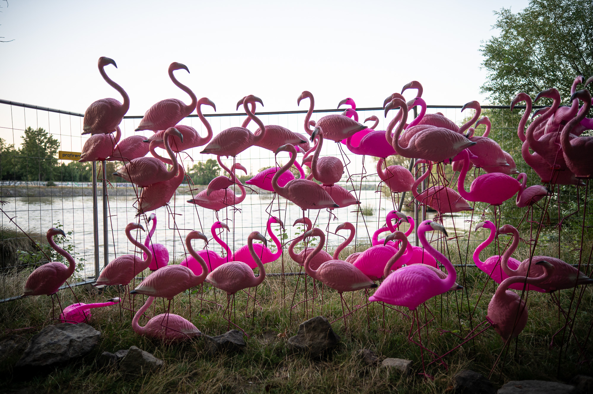 Fotó: Neményi Márton