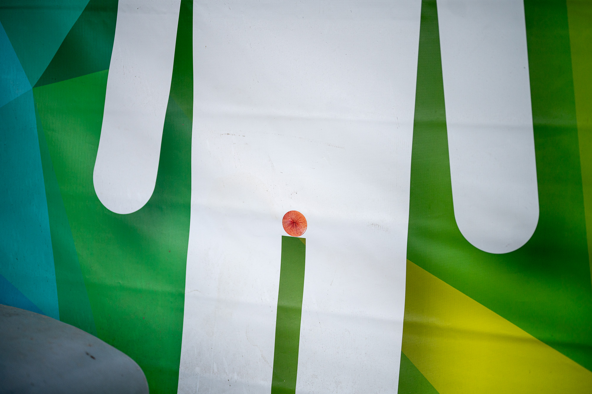 Fotó: Neményi Márton